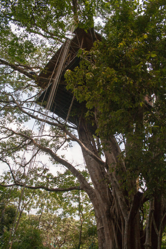 Travel Diaries: When I Lived In A Treehouse For A Day - Shalzmojo