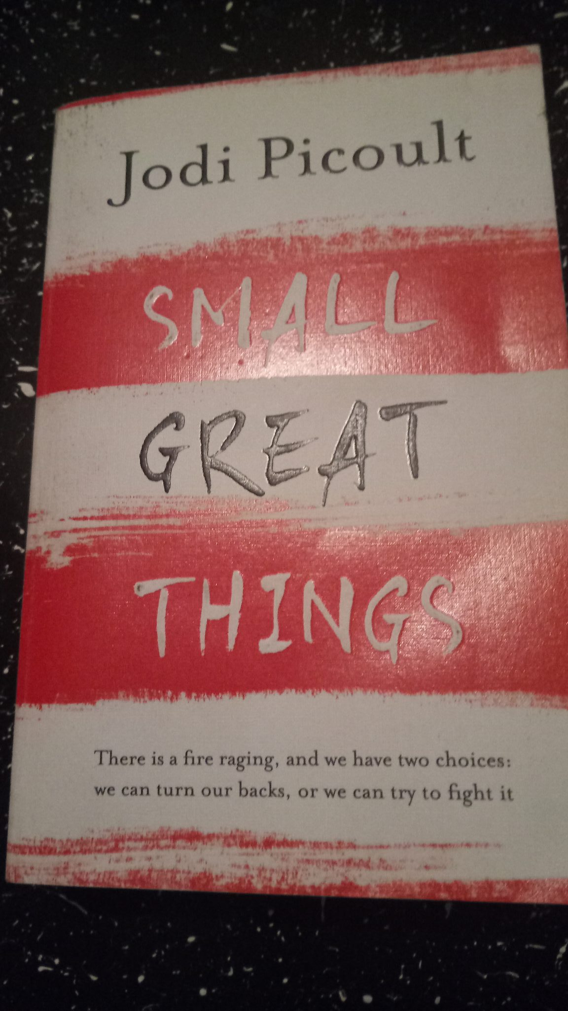 Small Great Things - A Book Review [ Guestpost ] - Shalzmojo